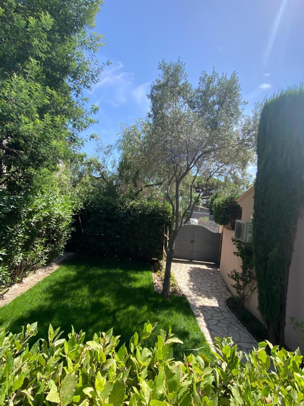 Hebe La Villa Cogolin Esterno foto